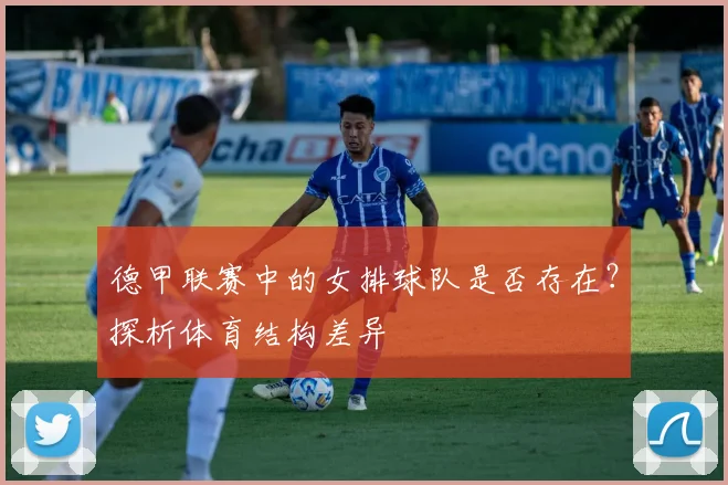德甲联赛中的女排球队是否存在？探析体育结构差异