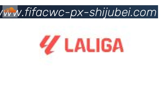 世界杯直播合作伙伴
