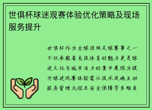 世俱杯球迷观赛体验优化策略及现场服务提升